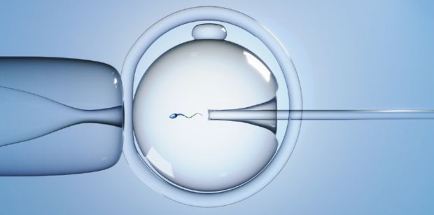 Image of IVF process (Adobe Stock)